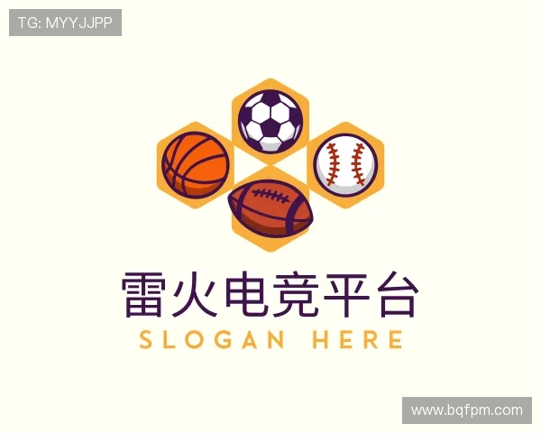 介绍雷火电竞官网